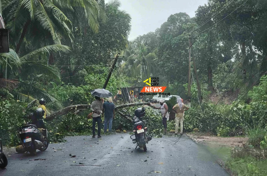  ಭಾರೀ ಮಳೆಗೆ ,ಕಾವು-ನೆಲ್ಲಿತ್ತಡ್ಕದಿಂದ ಈಶ್ವರಮಂಗಲದವರೆಗೆ ವಿದ್ಯುತ್ ಕಂಬಗಳು ರಸ್ತೆಗೆ..!