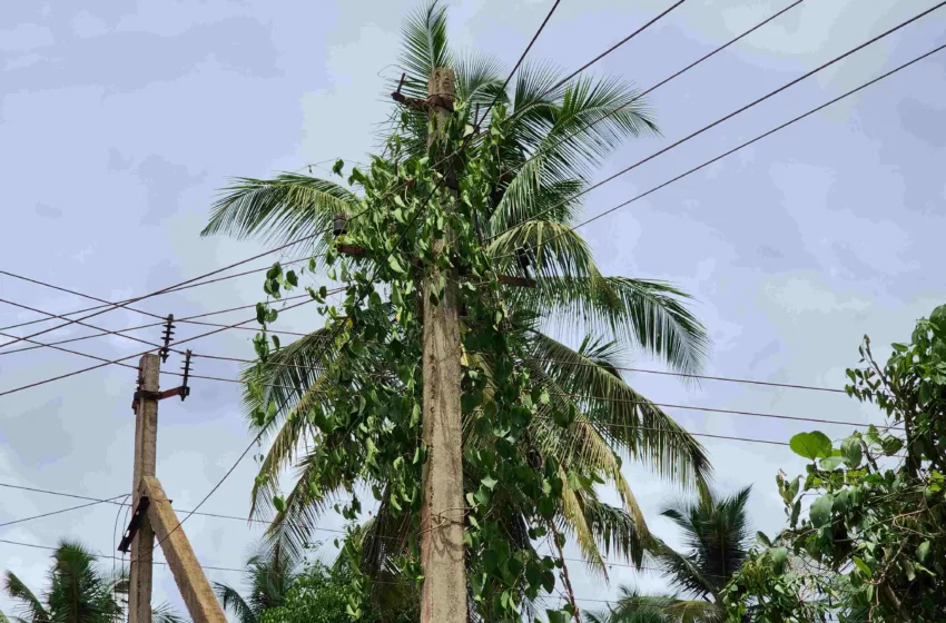  ಇದಕ್ಕೆ ಯಾರು ಕಾರಣ?