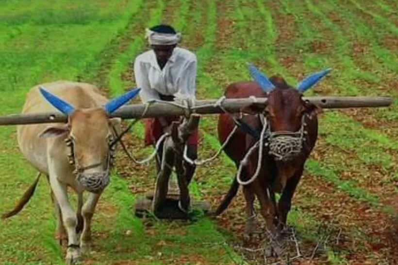  ಶ್ರೇಷ್ಠ ಕೃಷಿಕ, ಕೃಷಿ ಮಹಿಳೆ ಪ್ರಶಸ್ತಿಗೆ ಅರ್ಜಿ ಅಹ್ವಾನ