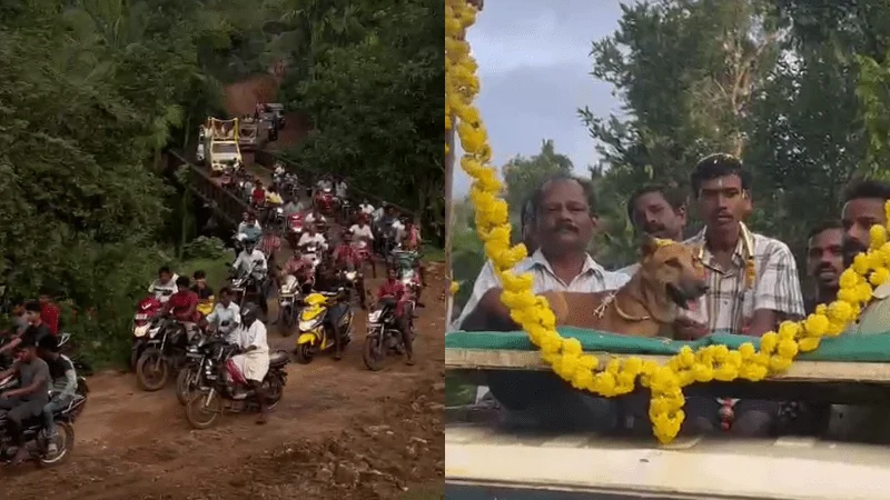  ಉಡುಪಿ : ನಾಪತ್ತೆಯಾದ ಯುವಕನ ಪತ್ತೆ ಮಾಡಿದ ಸಾಕುನಾಯಿ- ಗ್ರಾಮಸ್ಥರಿಂದ ಮೆರವಣಿಗೆ