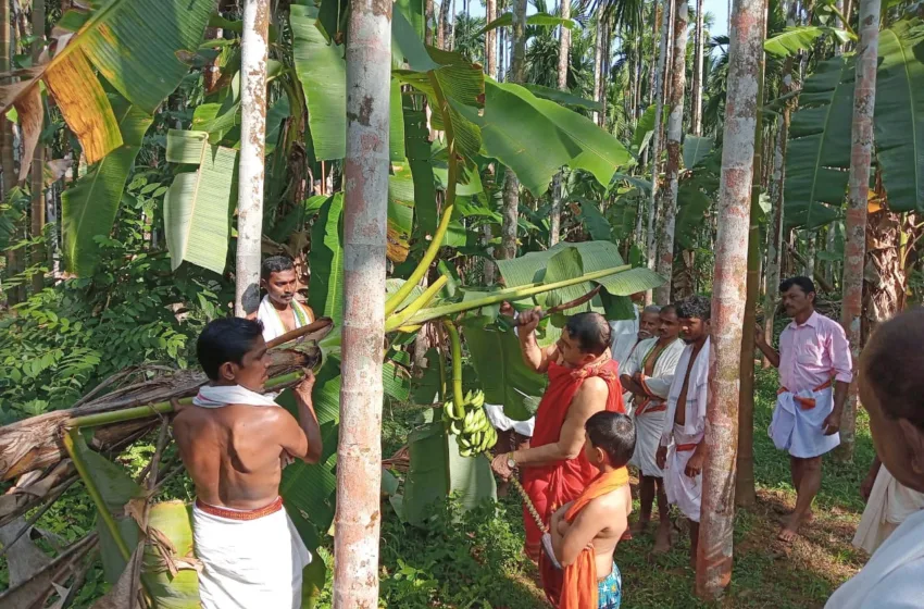  ಕಾಣಿಯೂರು ಜಾತ್ರೋತ್ಸವ ಗೊನೆ ಮುಹೂರ್ತ 