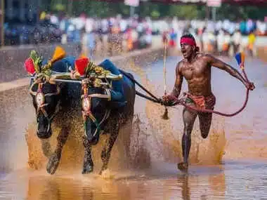  ಗುರುಪುರದಲ್ಲಿ ನಡೆಯಲಿದೆ ಪ್ರಥಮ ವರ್ಷದ ಕಂಬಳ